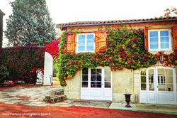 mariage reception loire